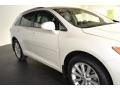 Blizzard Pearl - Venza I4 Photo No. 6