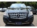 Black - ML 350 4Matic Photo No. 2
