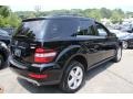 Black - ML 350 4Matic Photo No. 6