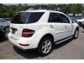 Arctic White - ML 350 4Matic Photo No. 6