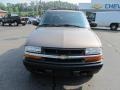 Sandalwood Metallic - S10 LS ZR5 Crew Cab 4x4 Photo No. 4