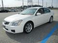Winter Frost Pearl - Maxima 3.5 SE Photo No. 4