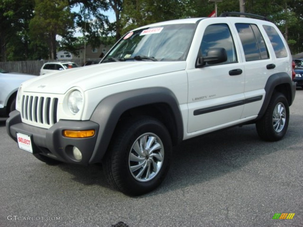 2002 Jeep Liberty Sport Custom Wheels Photo #52070768