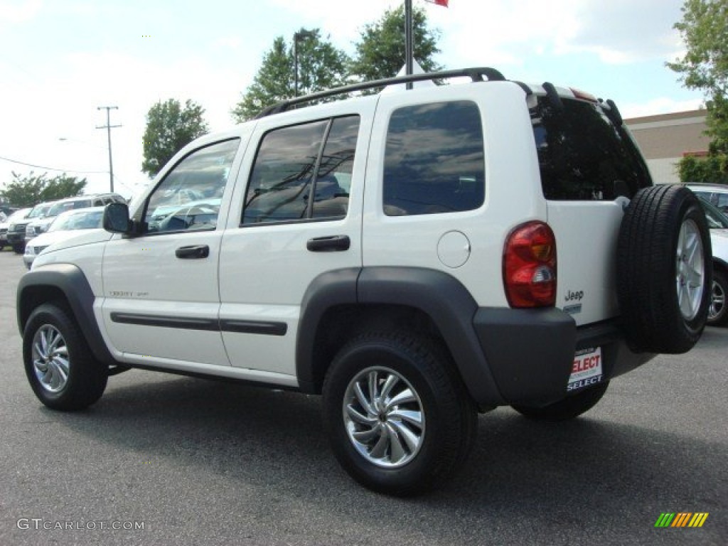 2002 Liberty Sport - Stone White / Dark Slate Gray photo #4