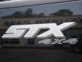 2008 Black Ford F150 STX Regular Cab 4x4  photo #31