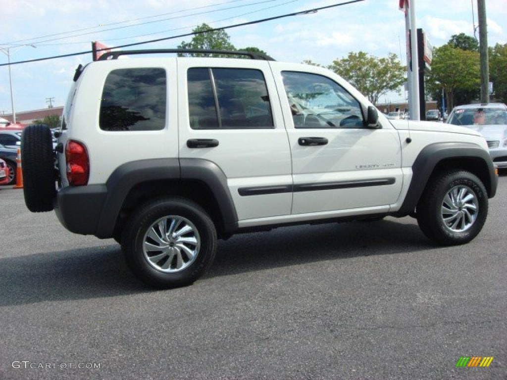 2002 Liberty Sport - Stone White / Dark Slate Gray photo #7