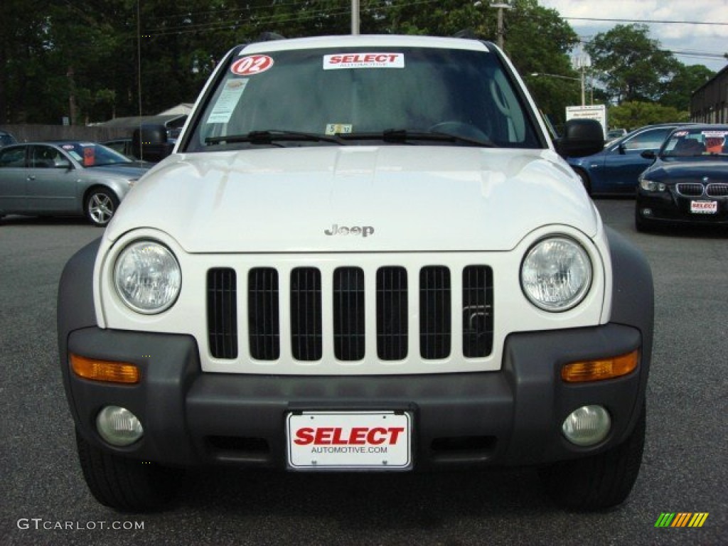 2002 Liberty Sport - Stone White / Dark Slate Gray photo #9