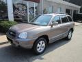 2005 Mocha Frost Beige Hyundai Santa Fe GLS 4WD  photo #1