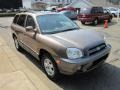 2005 Mocha Frost Beige Hyundai Santa Fe GLS 4WD  photo #6