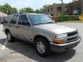 Light Pewter Metallic - Blazer LS 4x4 Photo No. 2