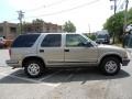 Light Pewter Metallic - Blazer LS 4x4 Photo No. 14