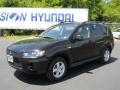 Labrador Black Pearl 2010 Mitsubishi Outlander ES 4WD