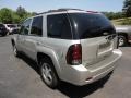 Silverstone Metallic - TrailBlazer LT 4x4 Photo No. 3