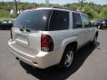 Silverstone Metallic - TrailBlazer LT 4x4 Photo No. 5