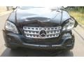 Black - ML 350 4Matic Photo No. 11