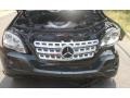 Black - ML 350 4Matic Photo No. 12