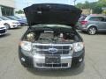 Black - Escape Limited V6 4WD Photo No. 20