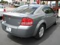 Silver Steel Metallic - Avenger SE Photo No. 10
