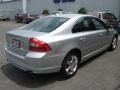 Silver Metallic - S80 T6 AWD Photo No. 6
