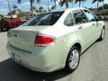 2010 Natural Neutral Metallic Ford Focus SEL Sedan  photo #6