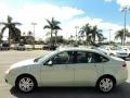 2010 Natural Neutral Metallic Ford Focus SEL Sedan  photo #9