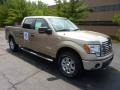 2011 Pale Adobe Metallic Ford F150 XLT SuperCrew 4x4  photo #1