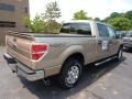 2011 Pale Adobe Metallic Ford F150 XLT SuperCrew 4x4  photo #2