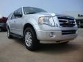 Ingot Silver Metallic - Expedition XLT Photo No. 1