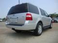 Ingot Silver Metallic - Expedition XLT Photo No. 3