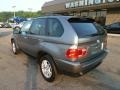 Sterling Grey Metallic - X5 3.0i Photo No. 2