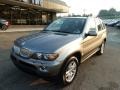 Sterling Grey Metallic - X5 3.0i Photo No. 8