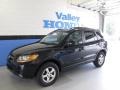 Ebony Black - Santa Fe GLS 4WD Photo No. 1