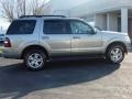 2008 Silver Birch Metallic Ford Explorer XLT  photo #3