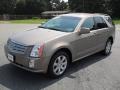 Radiant Bronze 2008 Cadillac SRX V6