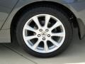 Carbon Gray Pearl - TSX Sedan Photo No. 33
