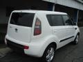 2010 Clear White Kia Soul +  photo #8