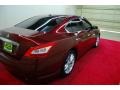 Tuscan Sun Red - Maxima 3.5 SV Photo No. 6