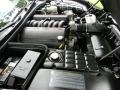 2001 Black Chevrolet Corvette Coupe  photo #36