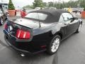 2010 Black Ford Mustang GT Premium Convertible  photo #8