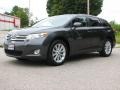 Magnetic Gray Metallic - Venza AWD Photo No. 1