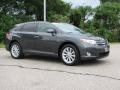 Magnetic Gray Metallic - Venza AWD Photo No. 3