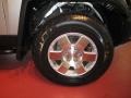 Titanium Metallic - FJ Cruiser 4WD Photo No. 8