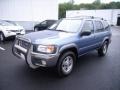 2001 Bayshore Blue Metallic Nissan Pathfinder SE 4x4  photo #26
