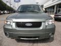 2006 Titanium Green Metallic Ford Escape Limited 4WD  photo #2