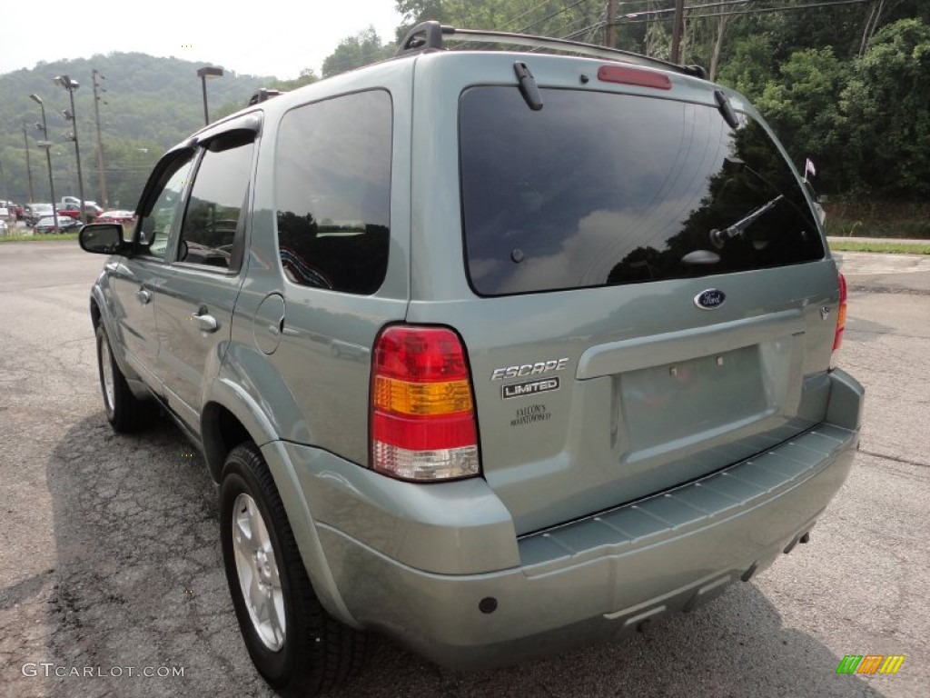 2006 Escape Limited 4WD - Titanium Green Metallic / Medium/Dark Pebble photo #4