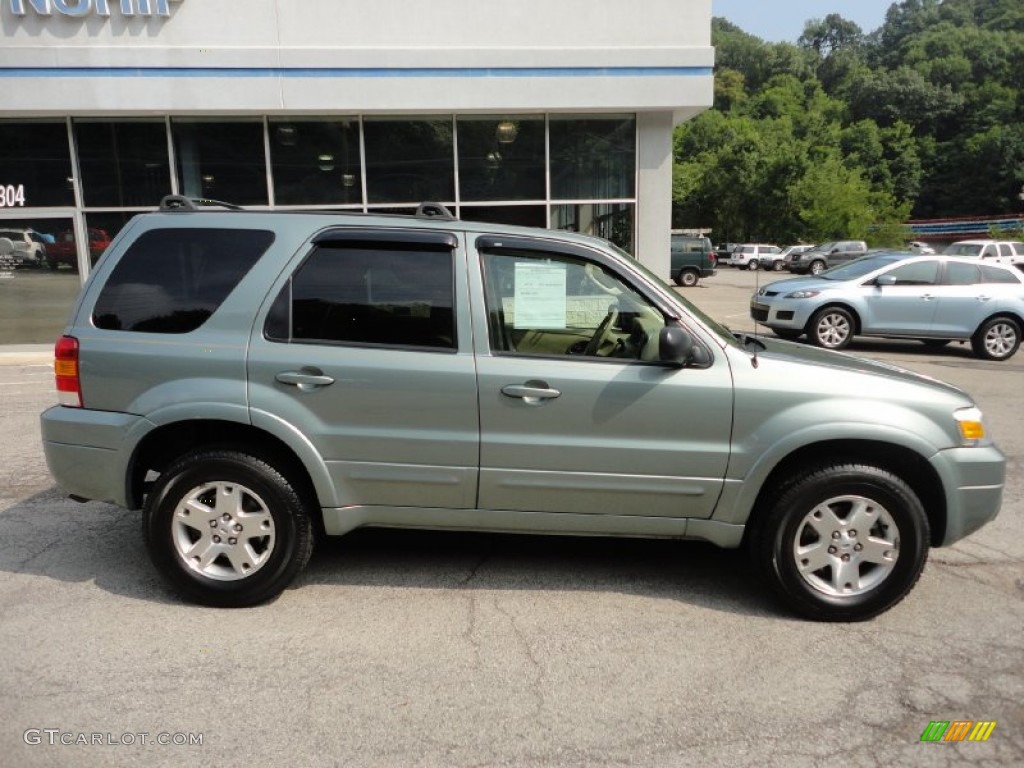 Titanium Green Metallic 2006 Ford Escape Limited 4WD Exterior Photo #52146595