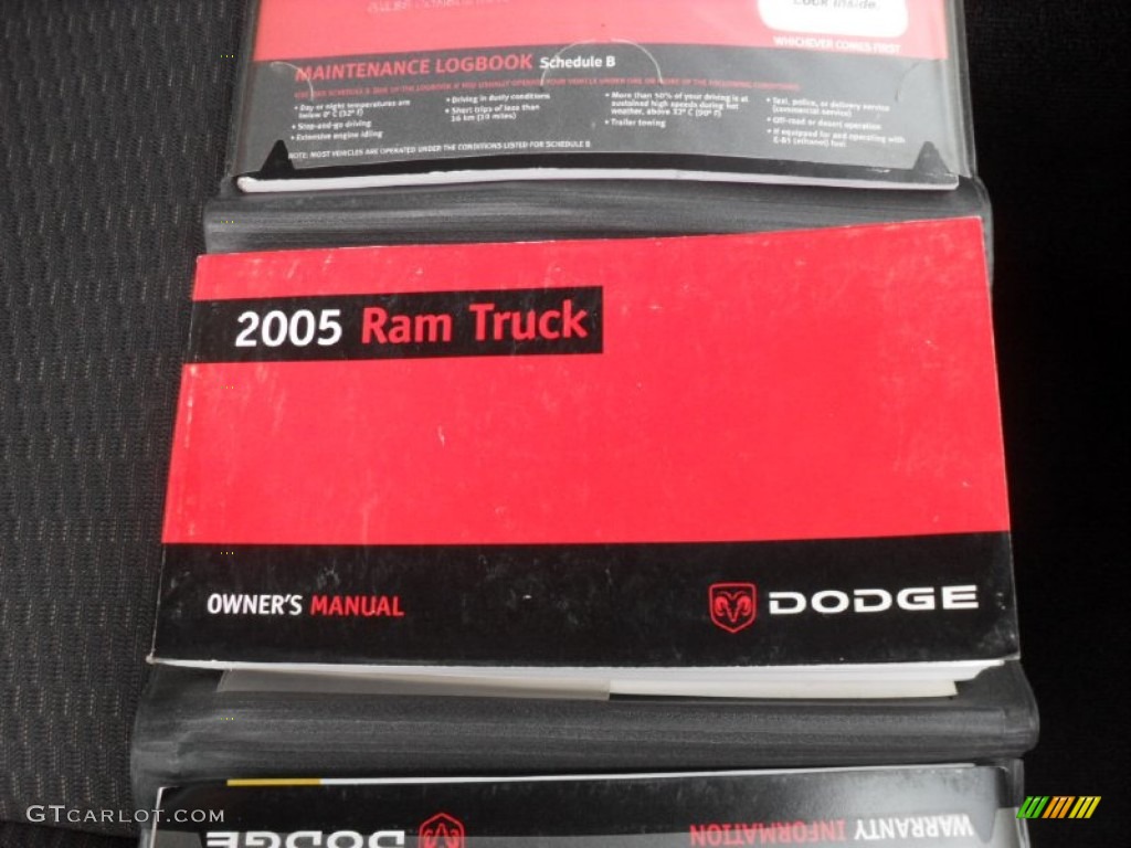 2005 Ram 1500 ST Regular Cab 4x4 - Mineral Gray Metallic / Dark Slate Gray photo #19