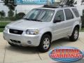 2005 Silver Metallic Ford Escape Limited 4WD  photo #1