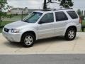 Silver Metallic 2005 Ford Escape Limited 4WD Exterior