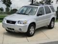 Silver Metallic 2005 Ford Escape Limited 4WD Exterior